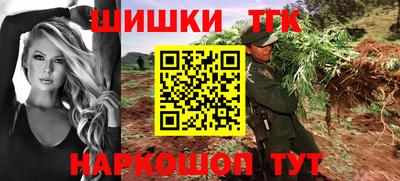 индика Лесосибирск