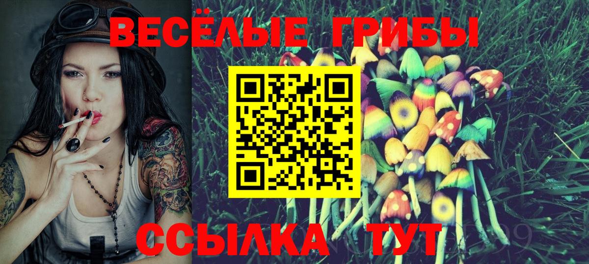 Псилоцибиновые грибы Cubensis Йошкар-Ола