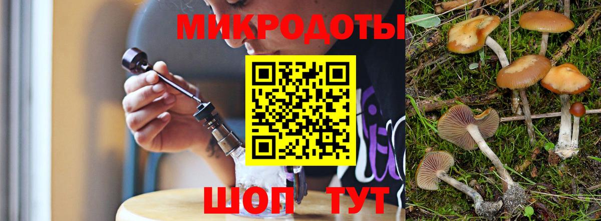 Псилоцибиновые грибы прущие грибы  Вход с VPN  Йошкар-Ола  Псилоцибиновые грибы GOLDEN TEACHER 